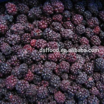 China FROZEN Supply BRC Certified IQF Frozen Blackberry / Blackberry Puree Good Quality Jelly Hot Sale for sale