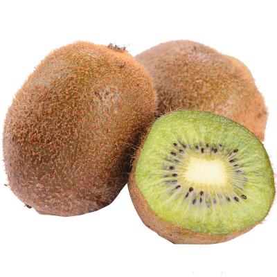 China IQF FROZEN Kiwi Fruit Frozen Fruit and Frozen Kiwi Dice /Slice Price for sale