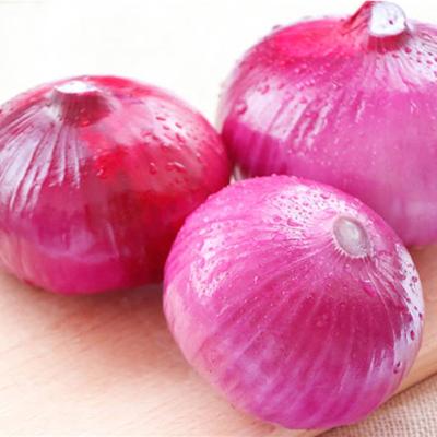 China Fresh Fresh Red Vegetable Onion With Good Quality And Best Price for sale