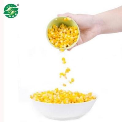 China Experienced Run Canned KOSHER Export Canned Food Baby Corn for sale