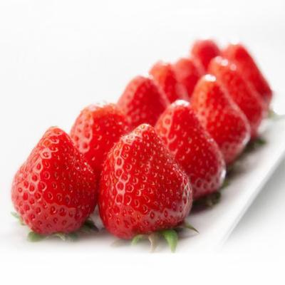 China Iqf FROZEN Bulk Whole Frozen Organic Strawberry for sale