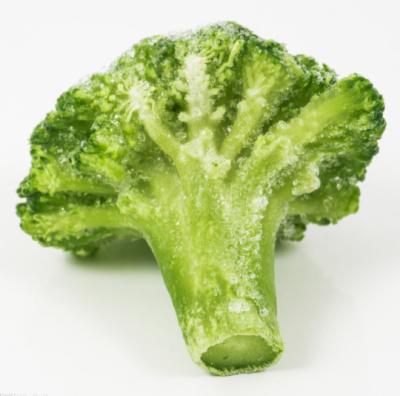 China New FROZEN vegetable frozen broccoli of the season IQF for sale