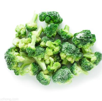 China Best Natural Greens Healthy Vegetable Frozen Broccoli IQF JELLY for sale