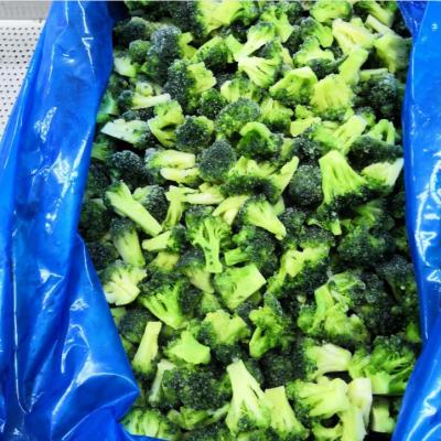 China Iqf FROZEN Hot Selling Delicious Frozen Broccoli Florets for sale