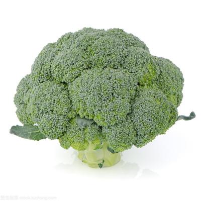 China Wholesale high quality fresh broccoli vegetable frozen FROZEN for sale