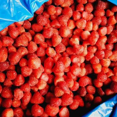 China Bulk New Season Iqf Whosale Frozen Strawberry JELLY for sale