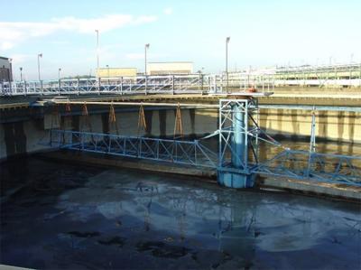 China Sewage Treatment Plant 6M Center Driver Sludge Scraper for sale