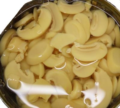 China Hot Selling Canned Food Canned Canned Peeled Mushroom Pns for sale