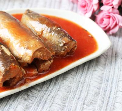 China Canned Canned Sardine in Tomato Sauce 155gx50 Canned Sardine / Tuna / Mackerel in Tomato Sauce / Oil / Brine for sale