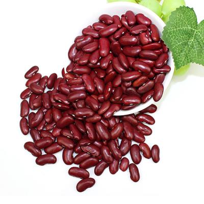 China Quality Assurance New Design Canned Red Kidney Beans Canned 425g Canned Red Kidney Beans for sale