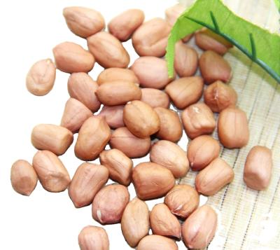 China factory wholesale price canned food halal braised peanut braised canned peanuts for sale