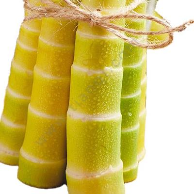 China Manufacturer Canned Wholesale Canned Chinese Vegetables Delicious Bamboo Shoots for sale