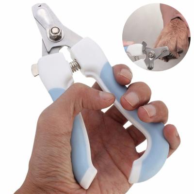 China Professional Dogs Pet Cleaning Nail Stainless Steel Ginger Pet Grooming Scissors For Dog Paw Claw Nail Cleaning for sale