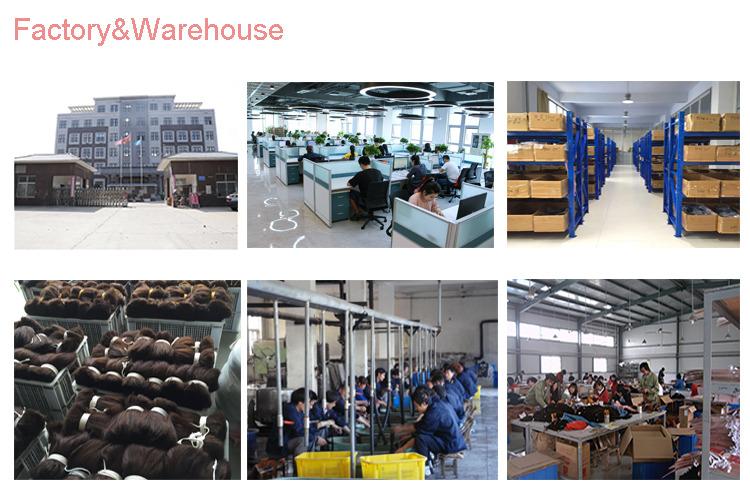 Verified China supplier - Henan Soshine Trading Co., Ltd.