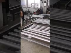 Roller Video 1
