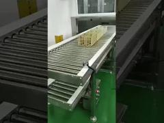 Roller Video 6