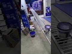 Roller Video 9