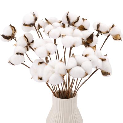 China Natural Plant Cotton Stems Dried Flower Bouquet Grass Cotton Artificial Cotton Stems Preserved Floral Faux for sale