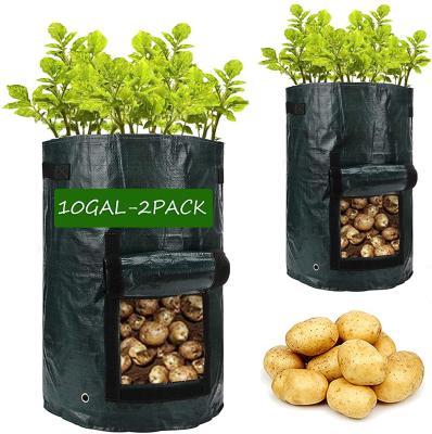 China Waterproof Garden Vegetable Planter With Handles&Access Flap For Vegetables , Airy Plants Planting Bag for sale