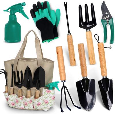 China Modern Heavy Duty Gardening Kit with Storage Organizer Floral Garden Tool Set for sale