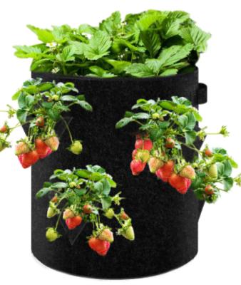 China Strawberry Strawberry Planters Suitable for Strawberry Vegetable/Flower Nursery Cloth Gardening Pots for sale