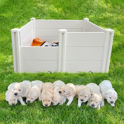 China High Quality Windproof Puppy Box PVC Puppy Box White Material Plastic Dog Puppy Box for sale