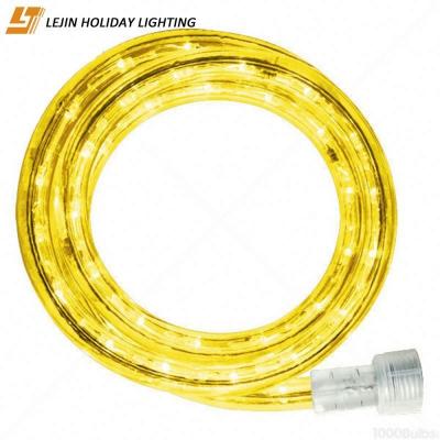 China Light Rope Led 36leds 110V Connectable Flashing Light Rope Led For Festival Decoration for sale