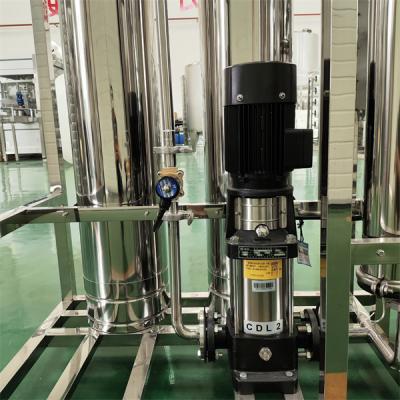 China 0.25 Tons Double-Stage Of Purified Water Reverse Osmosis Equipment for sale