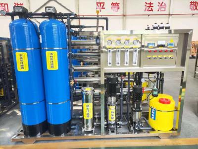 China High-End 1t/H Dual Stage Reverse Osmosis Water Purification Equipment for sale