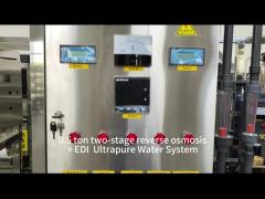 0.5 tons of dual-stage reverse osmosis treatment equipment with EDI ultrapure water system