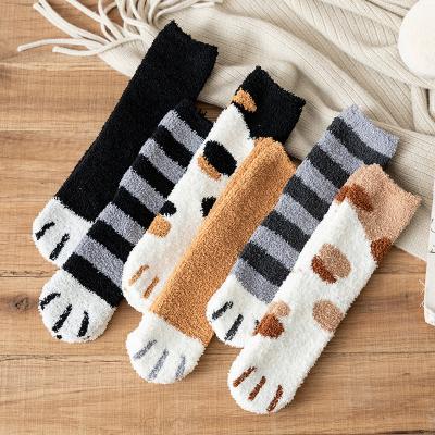 China Cat Paw Home Floor Socks Winter Cartoon Thick Warm Plush Coral Velvet Socks QUICK DRY For Women for sale