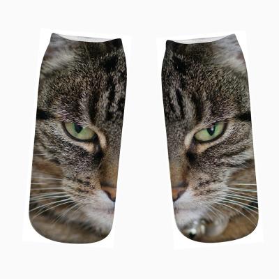 China Fashion QUICK DRY design 3d printing custom ankle socks Cat Face Digital Printing 3d printing socks for women for sale