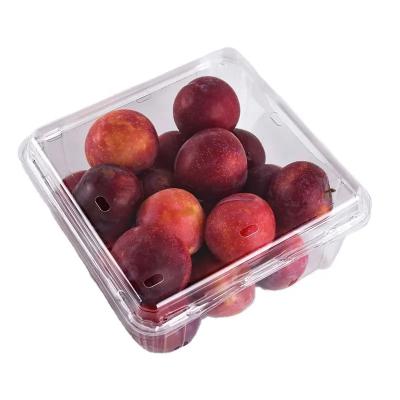 China Disposable Customization Square Clamshell Fresh Fruit Clear PET Box Packaging Container Perforated Plastic Fruit Punnets Boxes for sale