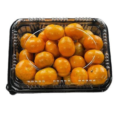 China Disposable High transparency Clear PLA Fruit Packaging Clamshell boxes for fruit Customization plastic containers for sale