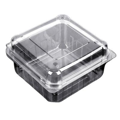 China Disposable Factory Eco-Friendly Clear Disposable Plastic Fruit Clamshell Punnet Containerfruit Customization plastic containers for sale