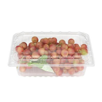 China Disposable Customized disposable fruit packaging box PET Fruit Clamshell Packaging Rectangle Clear Strong Container With Lock Lid for sale