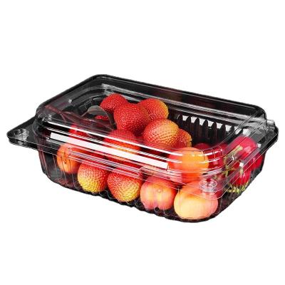 China Disposable Disposable Plastic Fruit Packaging Box Plastic PET Fruit Clamshell Packaging Rectangle Clear Strong Container With Lock Lid for sale