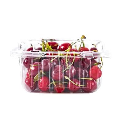 China Disposable Customized clamshell fruit cherry strawberry blueberry container transparent disposable plastic PET punnets with lid for sale