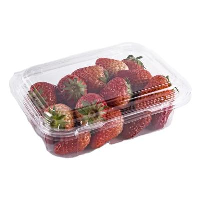 China Disposable Custom PET fresh fruit blueberry strawberry plastic clear food container with clamshell lid for sale