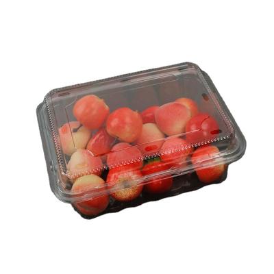 China Disposable Customization clear plastic clamshell cherry fruit box plastic fruit salad packaging container pet clamshell for sale