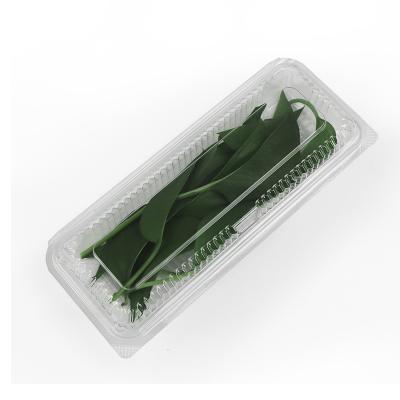 China Disposable Biodegradable Clear Pet Herb Packaging Box Clamshell Packaging For Fresh Herbs Frozen Herb Packaging Container for sale