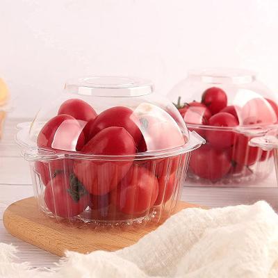 China Disposable Customizable plastic salad bowl food containers Clear Packaging plastic salad container for food fruit Wholesale for sale