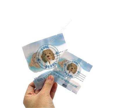 China Custom Printed Disposable BIODEGRADABLE Food Packaging Ice Cream Popsicle OPP Plastic Packaging Bag With Back Seal for sale