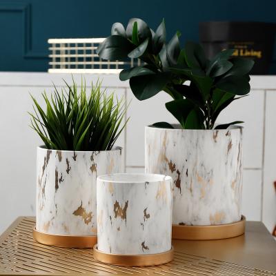 China Living Room Decoration Bonsai Pot Cement Flower Pot Plant Modern Wholesale Indoor Succulent Pots With Trays for sale