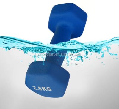 China dumbbell pvc vinyl covered neoprene dipping dumbbell gym cheap walking dumbbell for sale for sale