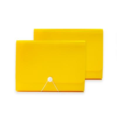 China Office Supplies Eco - Friendly Expanding Expanded File Folders for sale