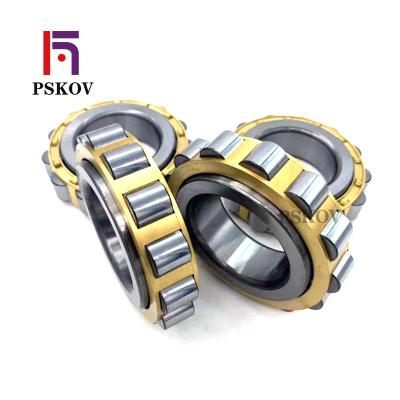 China Hotels PSKOV RN Series RN307 RN307M Eccentric Cylindrical Roller Bearing Bearing 307 With Brass Cage 35*70.2*21mm for sale