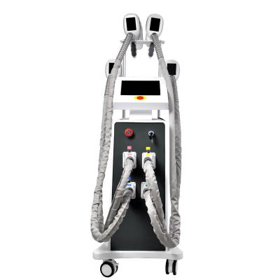 China EMS Fat Freeze Cryolipolysis Slimming Machine 800W OEM for sale