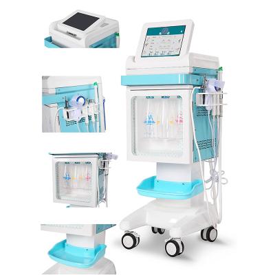 China Jet Peel Skin Rejuvenation Machine Water Oxygen Machine For Skin Care for sale