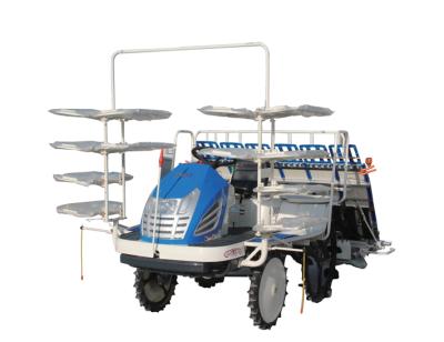 China Riding type high speed rice transplanter PD60, for sale